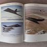 F-117 Nighthawk Image 3