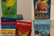 David Walliams Hardback Books