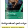 TY Bridge the gap, English and or Gaeilge Image 5