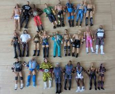 25 WWE Figures