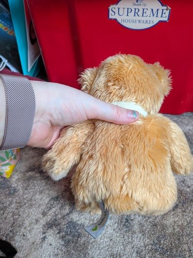 airline bears eur 10 each