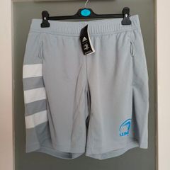 Grey Leinster Rugby performance training shorts