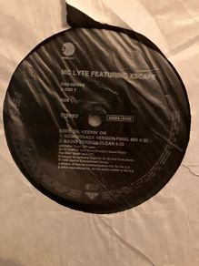 Rap Vinyl Bundle (15 records)