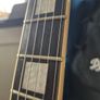 D"Angelico Premier DC Champagne Image 6