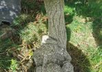Old Bird feeder