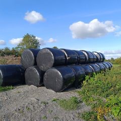 Silage bales 2026 & 2025