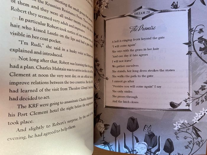 Usborne - The book of Stolen Dreams