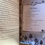 Usborne - The book of Stolen Dreams Image 4