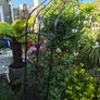 garden furniture Image 4
