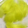 Goose Feathers Image 6