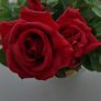 Decorative roses Image 7