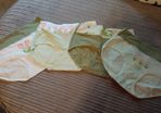 Girl's high waist briefs BRAND NEW
