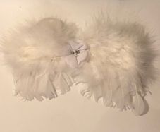 Baby angel wings fancy dress
