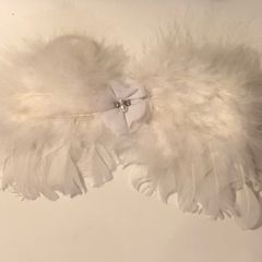 Baby angel wings fancy dress