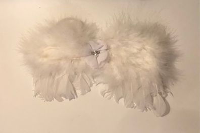Baby angel wings fancy dress