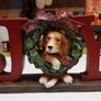 Dog ornament Image 2