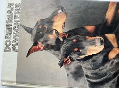 Doberman training