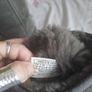 Grey ugg boots Image 7