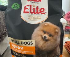 Free dog food - Gain Elite small dogs puppy