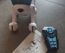 Ziggy dog robot