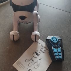 Ziggy dog robot