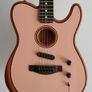 Fender USA Tele Acoustic Image 2