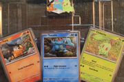 Pokemon First Partners deluxe pin collection promo cards