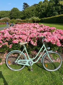 Ladies Bike
