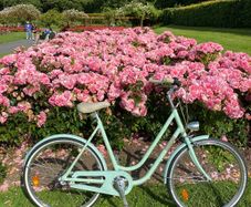 Ladies Bike