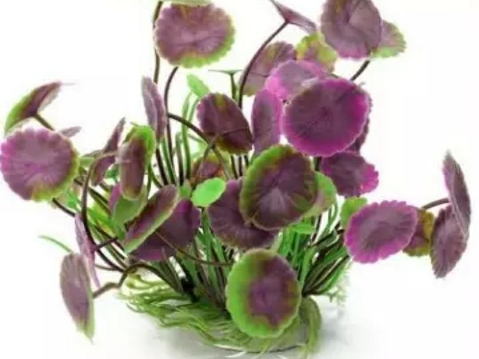 Plastic Aquarium Decorations Multicolor Artificial Plants