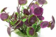 Plastic Aquarium Decorations Multicolor Artificial Plants