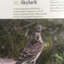 Bird Books Image 8