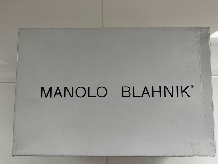 Manolo Blahnik Carrie silver shoes