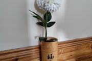 bamboo vase