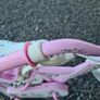 Girls Bike Image 4
