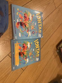 Iontas 2 Textbook and workbook. Comes with CDs