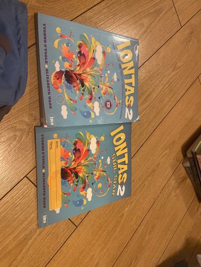Iontas 2 Textbook and workbook. Comes with CDs