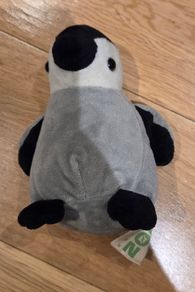 Dublin Zoo penguin teddy