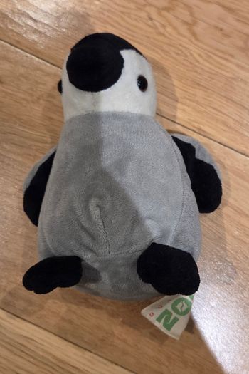 Dublin Zoo penguin teddy