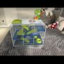 hamster cage Image 3