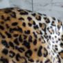 Dkny girls jumper fur hoodie jacket coat leopard crop 5 -6 + pink raincoat bundle Image 4
