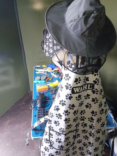 Dog Grooming Trailer
