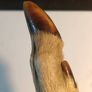 Mid Nineteenth Century Deer Hoof and Horn Page Turner Image 7