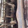 Lely 3 meter harrow Image 6