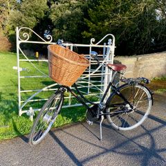 Pashley Princess Sovereign
