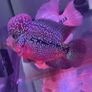 fish tank Image 2