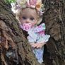 Reborns By Laura.  I Have Elf Fairy's In My Garden!!  Fairy  Elf's  Available For Adoption .  Reborn Doll.  Welcome To View Image 8