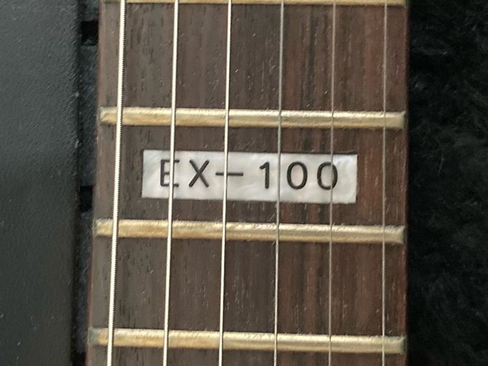 ESP LTD Explorer EX-100 guitar and flight case