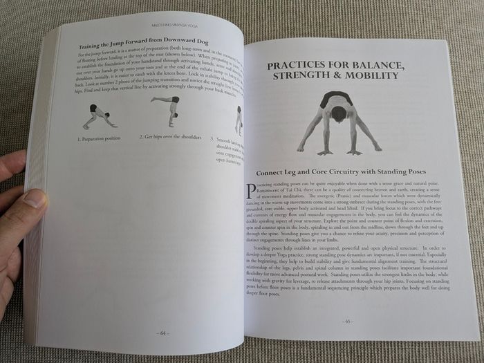 Mastering Vinyasa Yoga - Raji Thron - Yoga Sequencing & Teacher Training