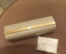Jimmy Choo glasses case and cloth